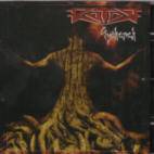 Rotor (HUN) : Gyokerek